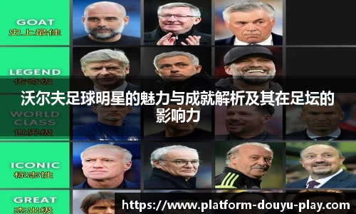 沃尔夫足球明星的魅力与成就解析及其在足坛的影响力