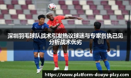 深圳羽毛球队战术引发热议球迷与专家各执己见分析战术优劣